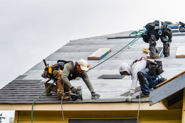 Professional Roofing technician working in Otley, IA